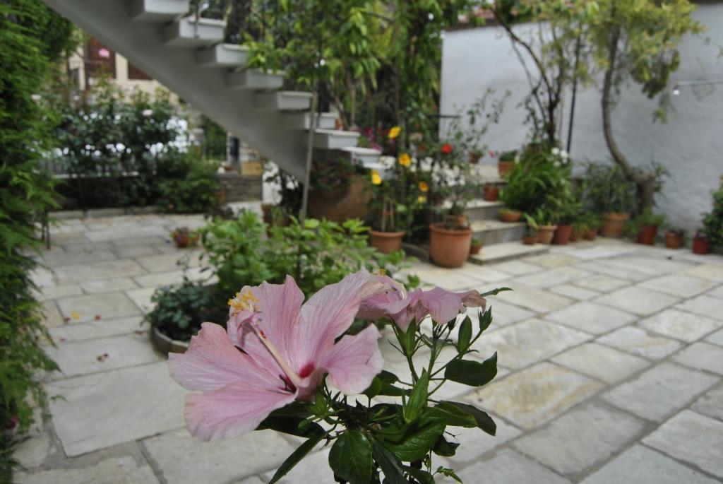 Guesthouse Machi Kato Gatzea Bagian luar foto